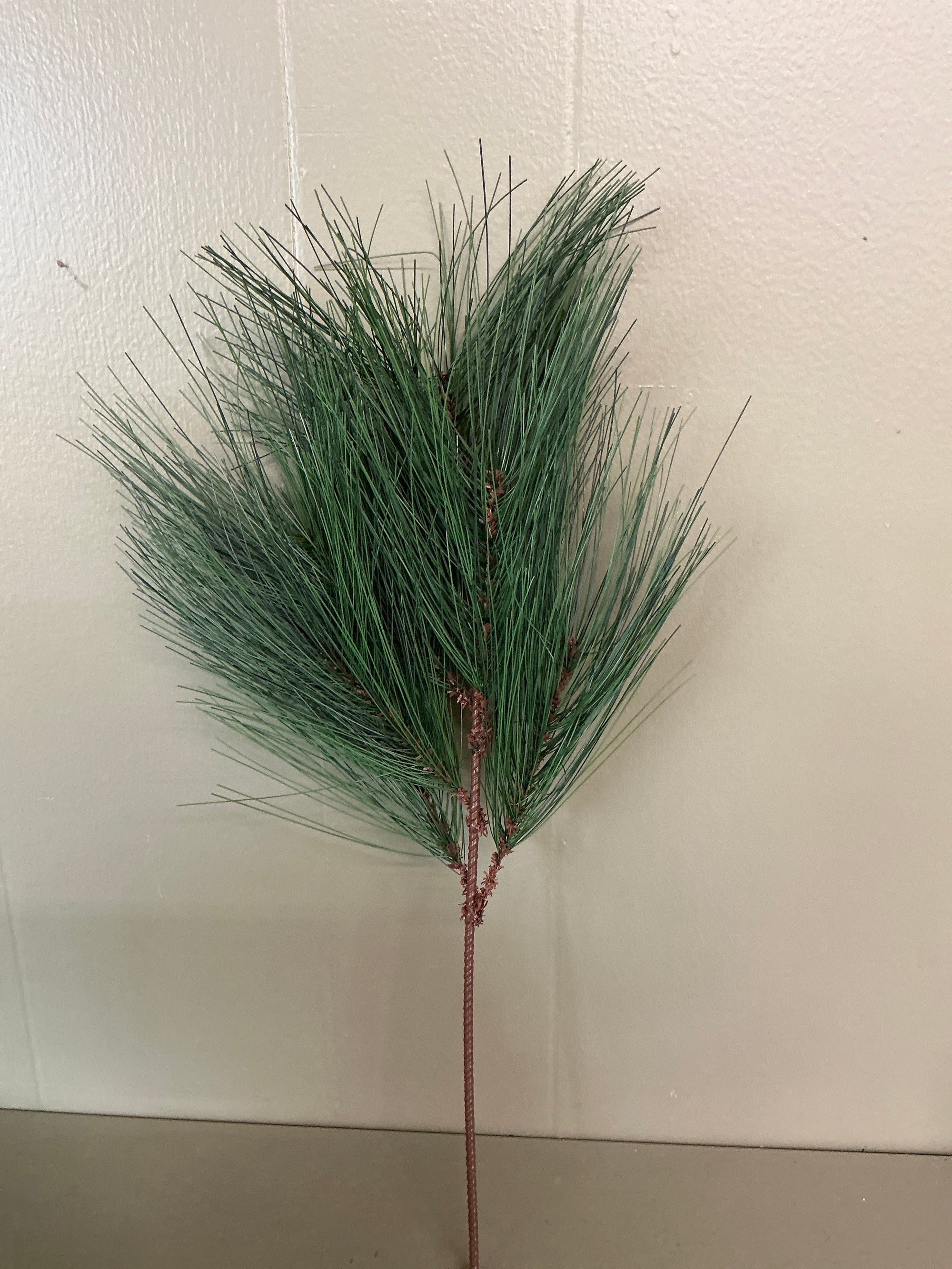 Pine Branch